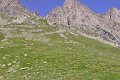 Saoubiste 016